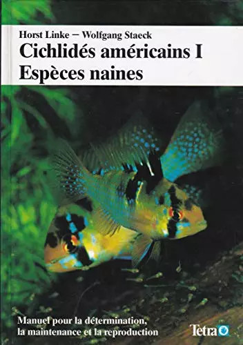 Cichlidés américains - , /