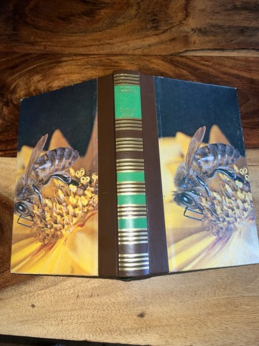 Livre vie des abeilles de - livre,