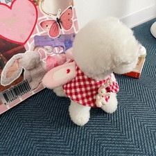  Accessoires Chien Bavoir Pour