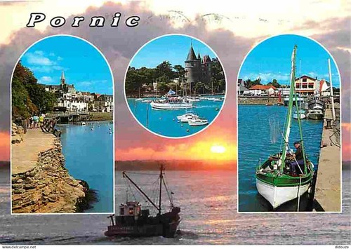 Carte postale pornic - 44,