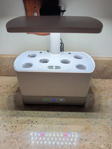 Aerogarden harvest pod - harvest, 6