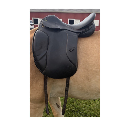 Prestige black dressage - prestige, 17