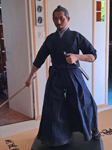 Dernier samouraï brave - dernier,