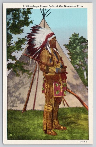 Winnebago brave dells - brave, of
