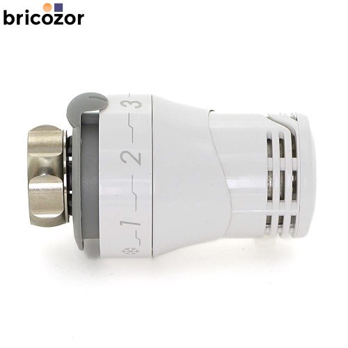 Tête thermostatique sonde - tête,