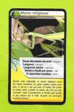 Carte - Mante religieuse