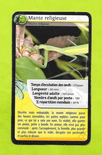 Carte mante religieuse - carte,