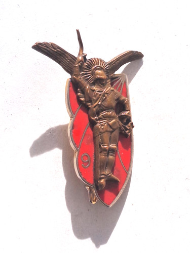 017785 insigne rcp g 1366 - 017785,