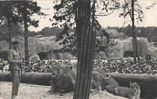 75 PARIS PARC ZOOLOGIQUE BOIS