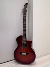 Guitare électrique acoustique