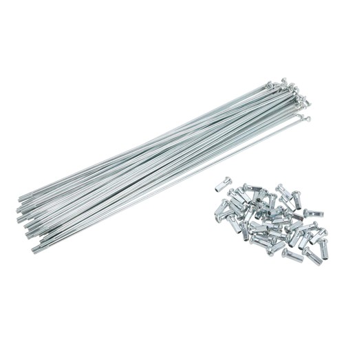 Set 12g rayons vélo - de,