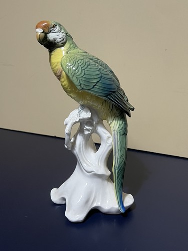 Karl ens grand perroquet ara - karl,