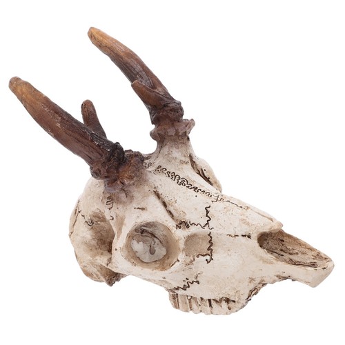 Enclos pour dragon barbu - dragon,