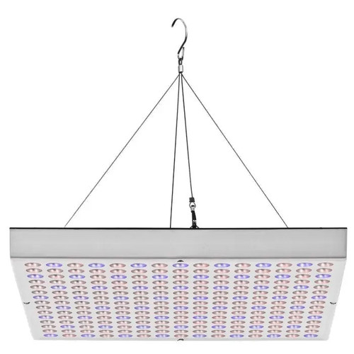 Lampe croissance plants - de,