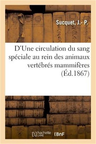 Une circulation sang - du,