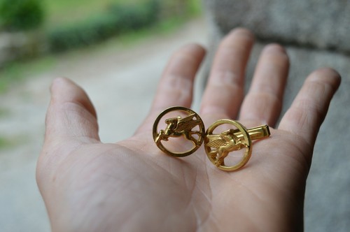 Rare paire boutons - paire,