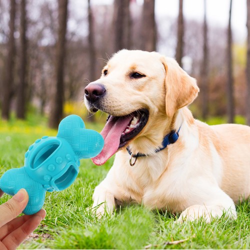 Jouets chien distributeur - chien,