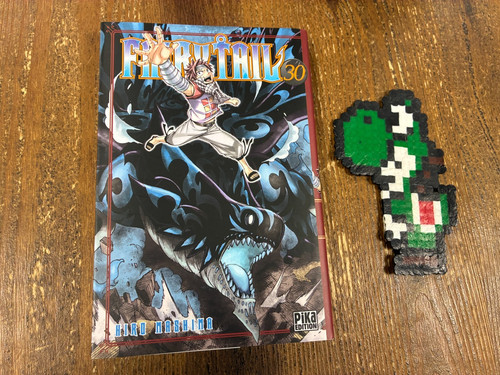Fairy tail vol manga - fairy, vf