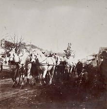 France Voiture hippomobile c1900 Photo Stereo Amateur Vintage Citrate
