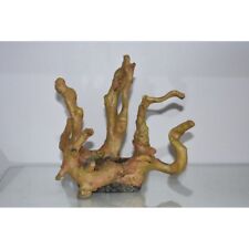 Aquarium Détaillé Driftwood