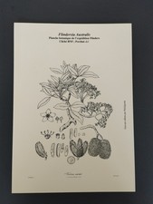 GRAVURE GRAND FORMAT POSTE