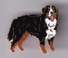 RARE PINS PIN'S .. ANIMAL CHIEN DOG CYNOPHILIE RACE BOUVIER BERNOIS EMAIL ~GB