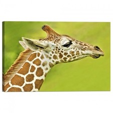 Cadre D'Impression Sur Toile