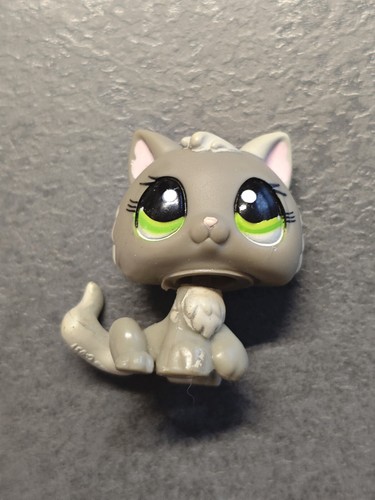 Petshop chaton 1035
