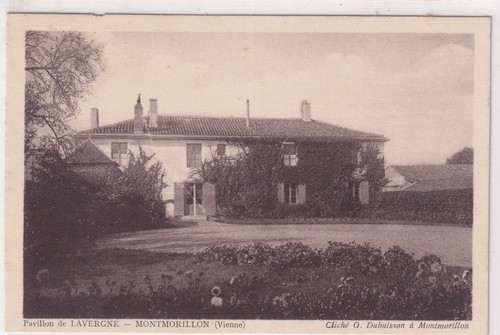 Postcard carte postale - 🦬postcard/carte,
