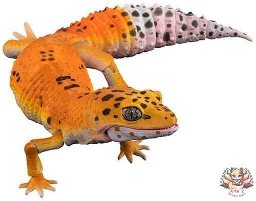 Leopard gecko tangerine - gecko,