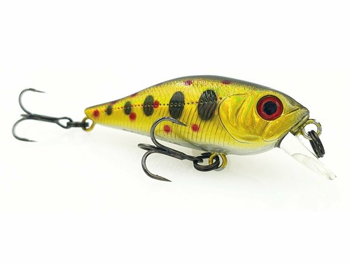 Adam shad 4cm - 40,