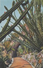 MONACO -- MONTE CARLO -- CPA