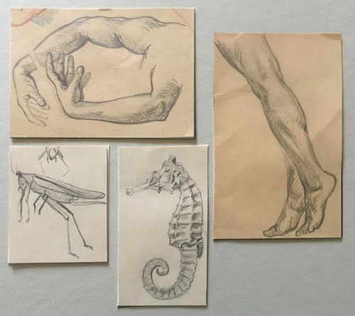 Superbe croquis dessins - superbe, 4