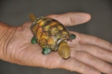 Vintage Fin Boggle Tête &