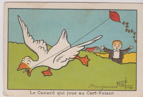 Image ancienne chromo canard - ancienne,