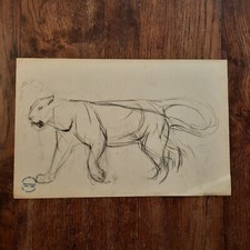 Dessin Ancien Animalier Fond