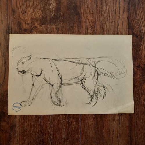 Dessin ancien animalier fond - ancien,