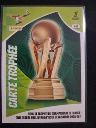 Carte panini adrenalyn - carte,