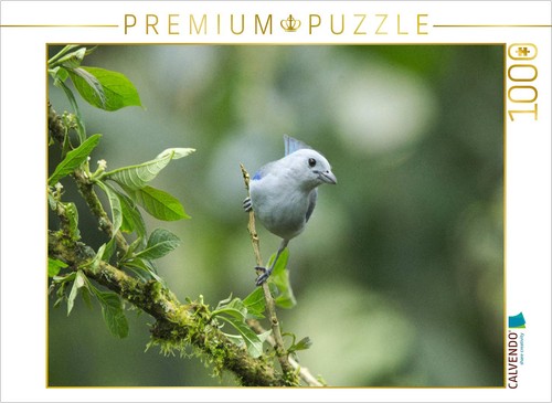 Calvendo puzzle - calvendo,