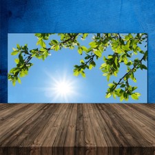 Crédence de cuisine en verre