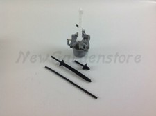 Carburateur Tondeuse À Gazon