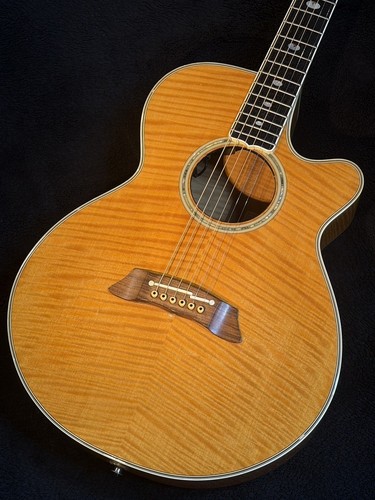 Takamine npt 115 - takamine, npt-115