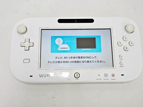 Nintendo wii game - wii, pad
