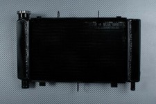 Radiateur d Eau Noir Type Racing en Aluminium YAMAHA FZ6 N FZ-6N FZ-6 2004-2006