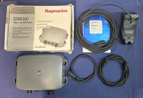 Raymarine e63069 dsm300 - e63069,