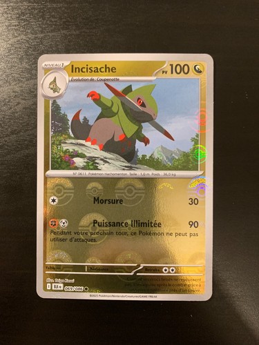 Carte pokémon reverse - pokémon,