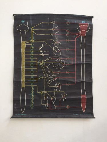 Affiche scolaire ancienne dr - affiche,