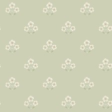 Papier Peint Floral À Motif De Marguerite Délicat Fleurs Vert Sauge Holden 13971