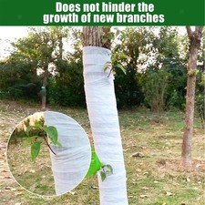 Protection hivernale pour arbres, arbustes et arbres d'ornement