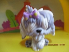 Petshop Chien Bobtail  #465 /